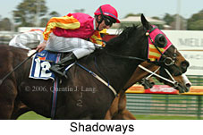 Shadoways (14772 bytes)