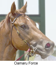 r2oamaruforce.jpg (16644 bytes)
