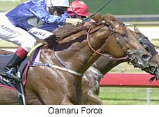 r2oamaruforce2.jpg (19098 bytes)