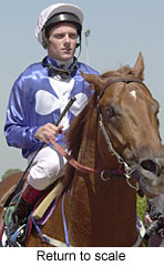 r2rtosc.jpg (20253 bytes)