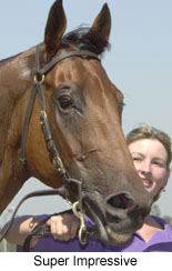 r4supimpr.jpg (17471 bytes)