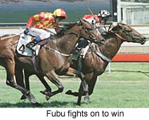 r5fubu.jpg (19278 bytes)