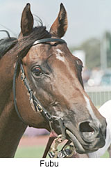 r5fubu2.jpg (18430 bytes)