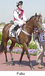 r5fubu3.jpg (17635 bytes)