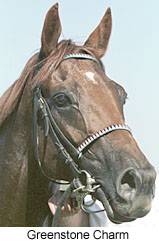 r6grch2.jpg (18597 bytes)