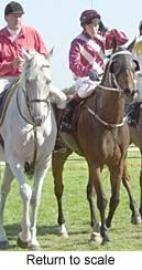 r7rtosc.jpg (16183 bytes)