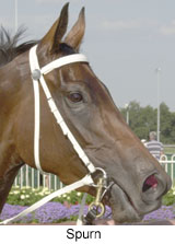 r7spurn2.jpg (16253 bytes)