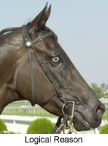 r8logreason2.jpg (14902 bytes)