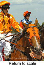 Return to scale (15361 bytes)