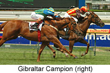 Gibraltar Campion (14872 bytes)