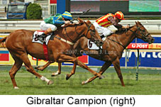 Gibraltar Campion (14872 bytes)