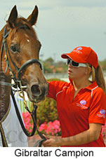Gibraltar Campion (14872 bytes)