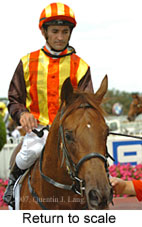 Return to scale (15361 bytes)