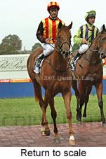 Return to scale (15361 bytes)