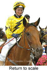 Return to scale (15361 bytes)