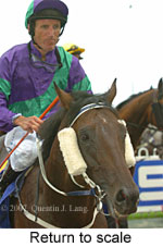 Return to scale (15361 bytes)