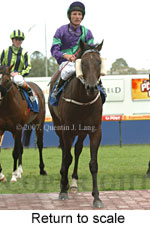 Return to scale (15361 bytes)