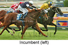 Incumbent (14872 bytes)