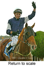 Return to scale (15361 bytes)