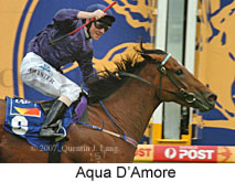 Aqua D'Amore (19622 bytes)