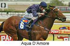 Aqua D'Amore (14872 bytes)