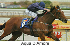 Aqua D'Amore (14872 bytes)