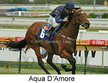 Aqua D'Amore (14872 bytes)