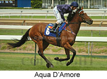 Aqua D'Amore (14872 bytes)