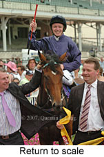 Return to scale (15361 bytes)