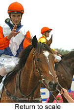 Return to scale (15361 bytes)