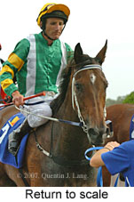 Return to scale (15361 bytes)