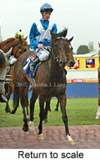 Return to scale (15361 bytes)