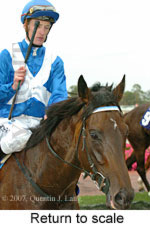 Return to scale (15361 bytes)