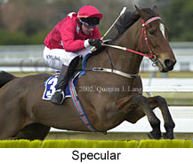 r1specular.jpg (14197 bytes)