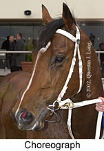 r2choreograph3.jpg (11769 bytes)