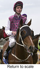 r2rtosc.jpg (12612 bytes)