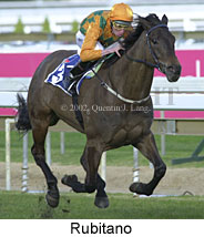 r6rubitano.jpg (14744 bytes)