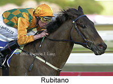 r6rubitano2.jpg (13765 bytes)