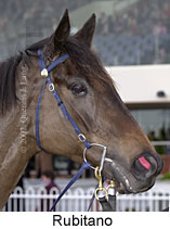 r6rubitano4.jpg (10901 bytes)