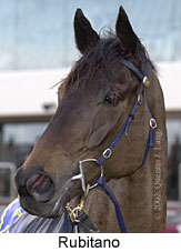 r6rubitano5.jpg (11108 bytes)