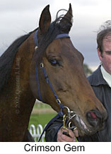 r7crimsongem3.jpg (10265 bytes)