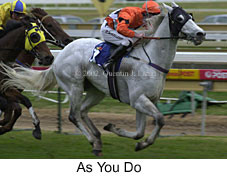 r8asyoudo.jpg (15421 bytes)