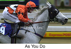 r8asyoudo2.jpg (14093 bytes)