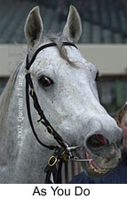 r8asyoudo3.jpg (10102 bytes)