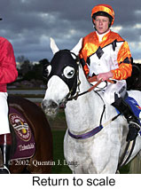 r8rtosc.jpg (14930 bytes)