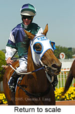 Return to scale (14008 bytes)