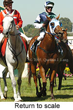 Return to scale (14008 bytes)