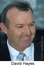 David Hayes (14772 bytes)