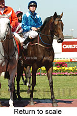 Return to scale (14008 bytes)