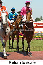 Return to scale (14008 bytes)